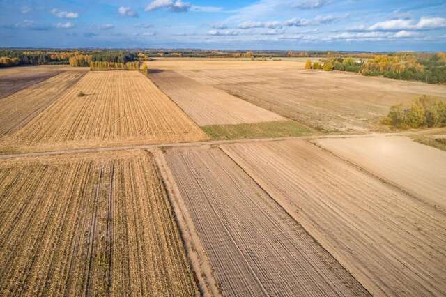 Фермерские дома Siedlisko Swojskie Klimaty Trześcianka-20